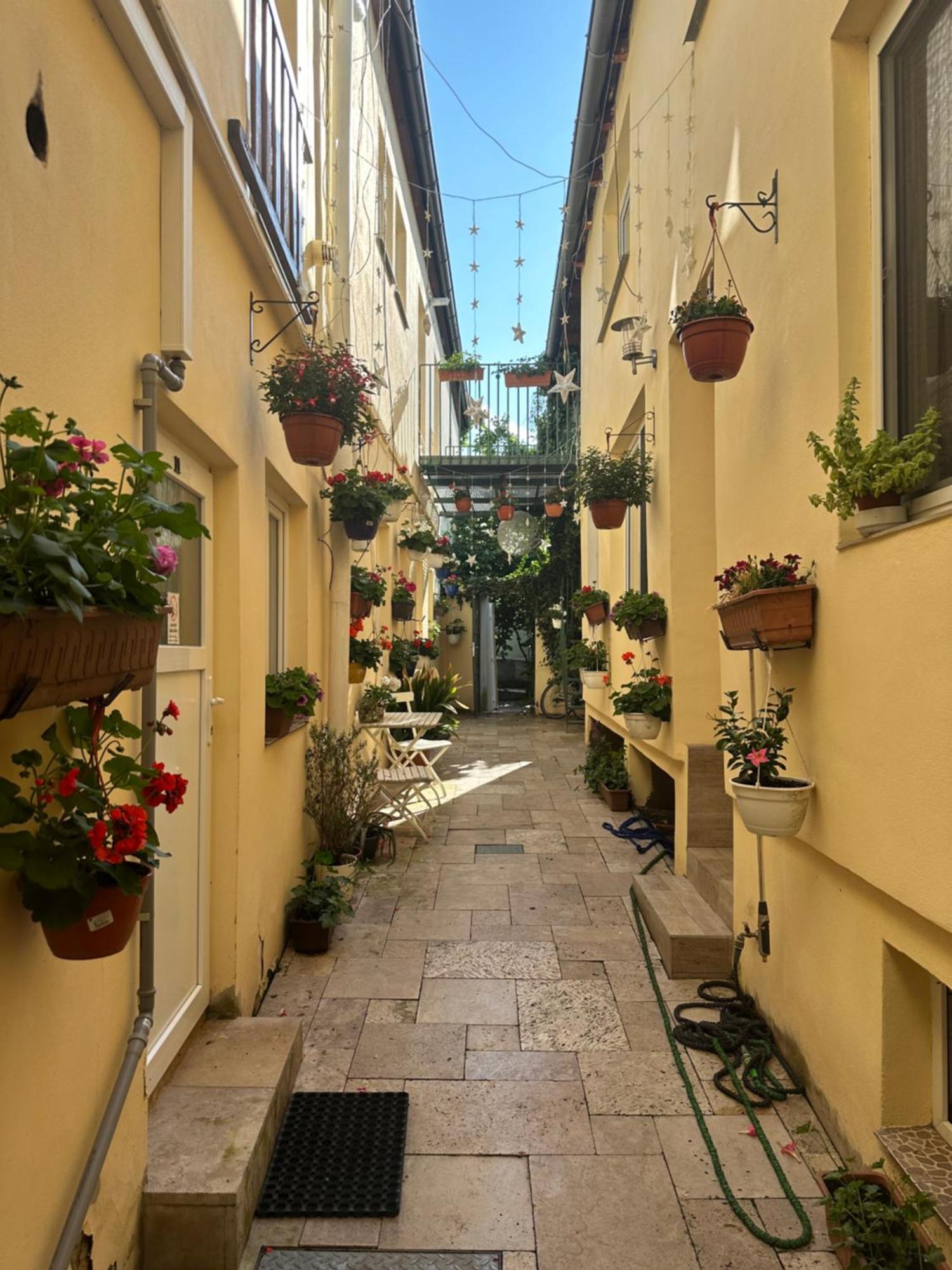 P4D Room Ceske Budejovice Dış mekan fotoğraf